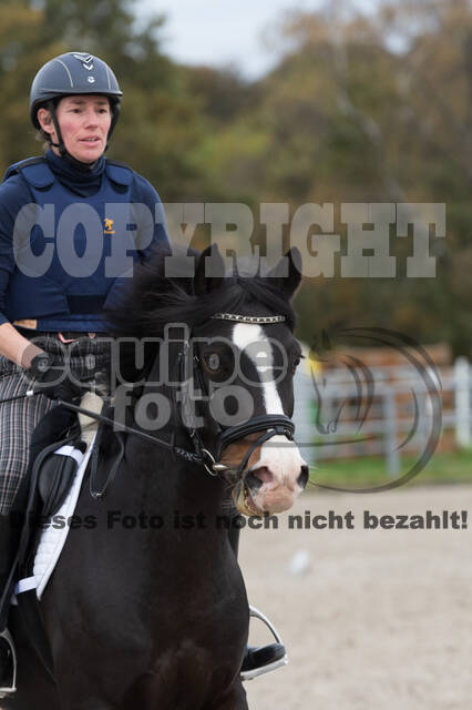 IGV Lehrgang der Sieger der Cups mit Frank Ostholt