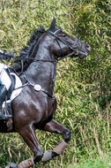 Geländetage beim RSV St. Hubertus Wesel Obrighoven (26.+27.03.2022)