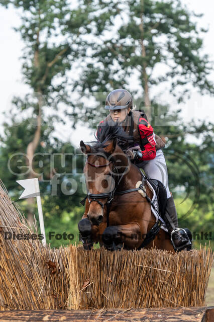 De Peelbergen (August 2020)