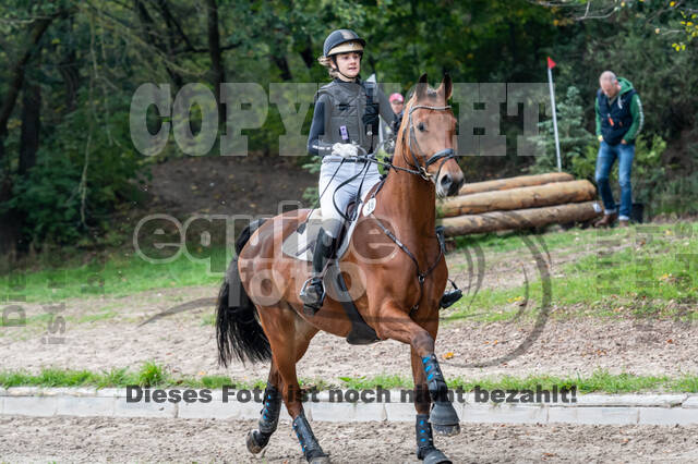 Goldene Schärpe 2020 - Pferde