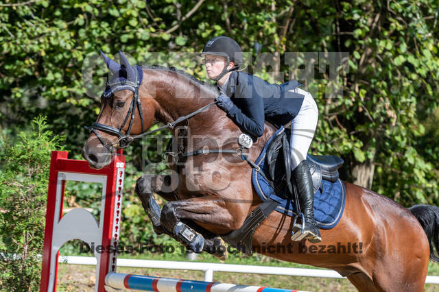 RFV Dinslaken-Hiesfeld (Herbstturnier)
