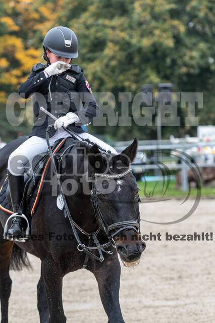 Goldene Schärpe 2020 - Pferde