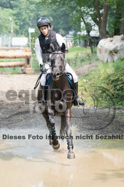 RFV Bad Honnef