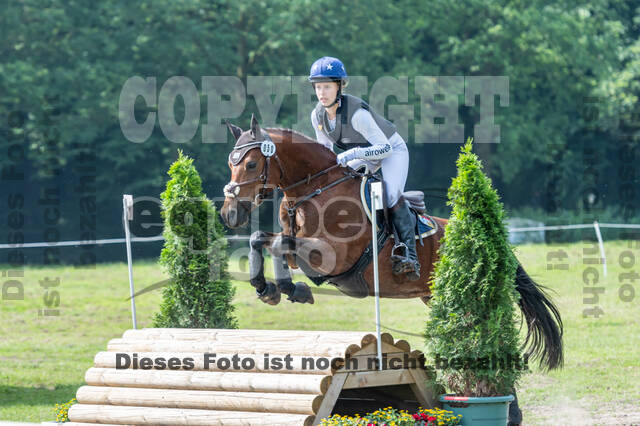 Goldene Schärpe 2021 - Ponys