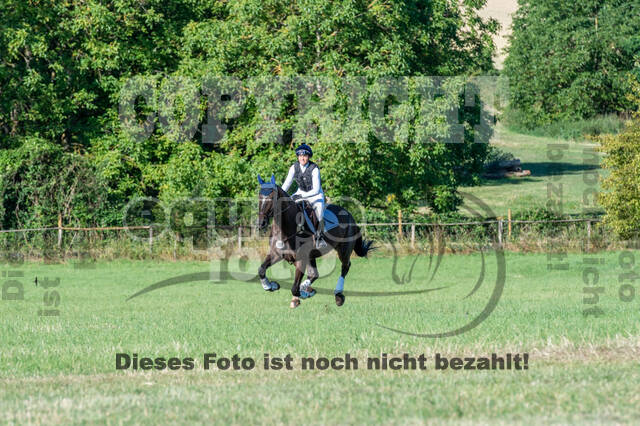 Bonn-Rodderberg Late-Entry-Vielseitigkeit (30.06.2020)