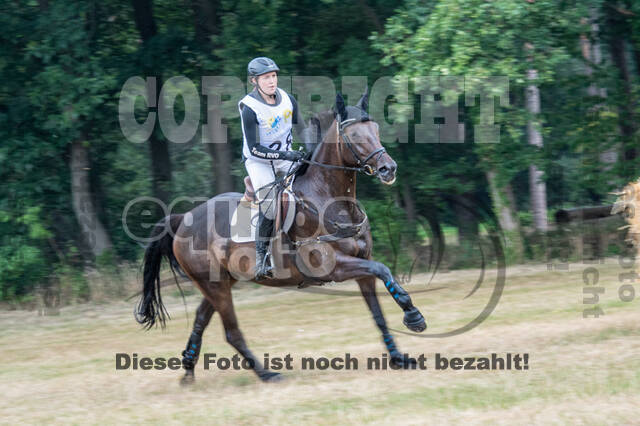 Late-Entry Vielseitigkeit Hamminkeln/Wesel (01.+02.08.2020)