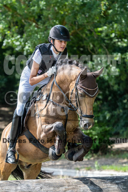 Late-Entry-Vielseitigkeit Langenfeld (06.+07.07.2020)