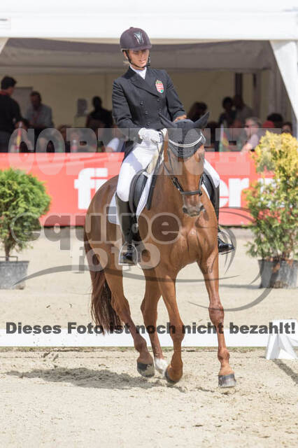 FEI European Championship Eventing 2017