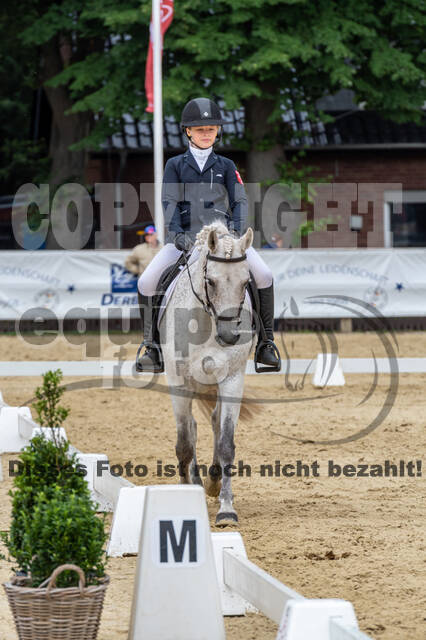 Goldene Schärpe 2021 - Ponys