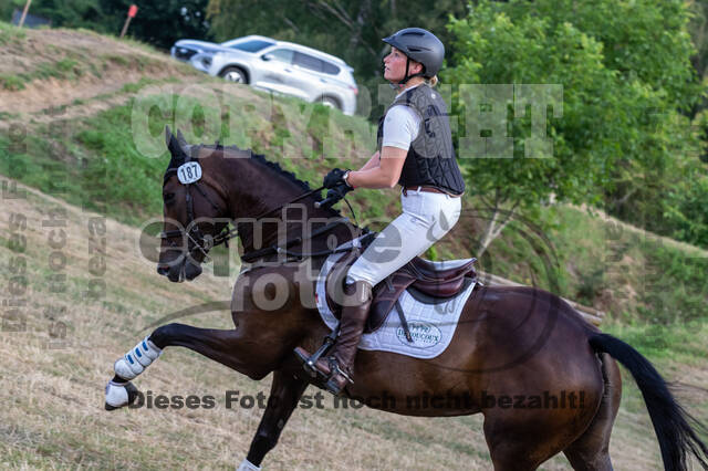 Late-Entry Vielseitigkeit Hamminkeln/Wesel (01.+02.08.2020)