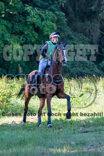 Westerstede Horse Trials (10.-13.06.2021)