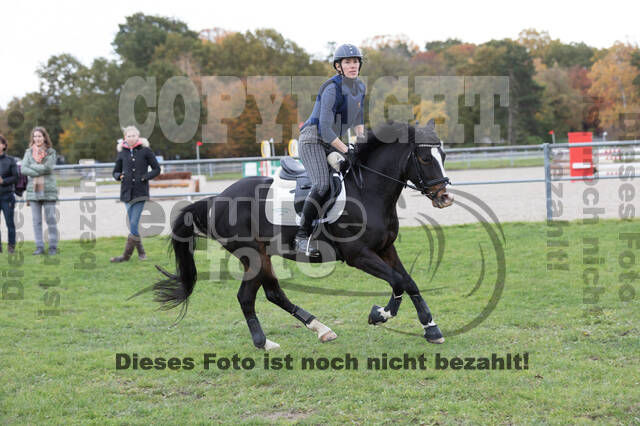 IGV Lehrgang der Sieger der Cups mit Frank Ostholt