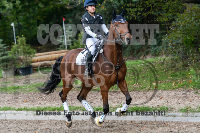 Goldene Schärpe 2020 - Pferde