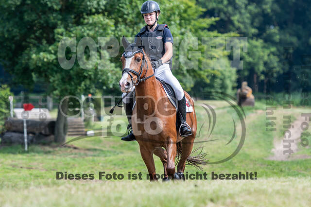 Goldene Schärpe 2021 - Ponys