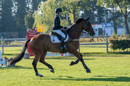 De Peelbergen (August 2020)
