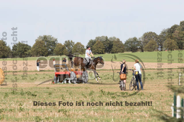 IGV Kleve - Vielseitigkeitsturnier