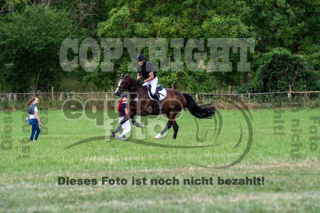 Bonn-Rodderberg Late-Entry-Vielseitigkeit (30.06.2020)