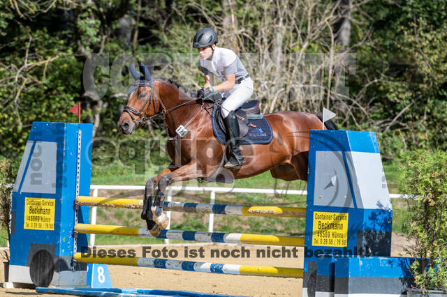 RFV Dinslaken-Hiesfeld (Herbstturnier)