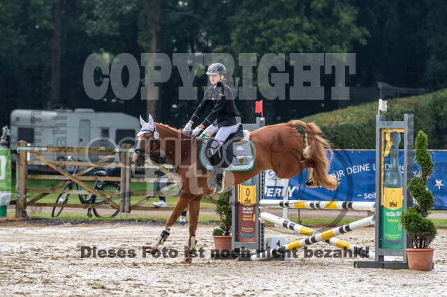 Goldene Schärpe 2021 - Ponys