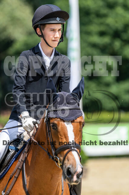 Goldene Schärpe 2021 - Ponys