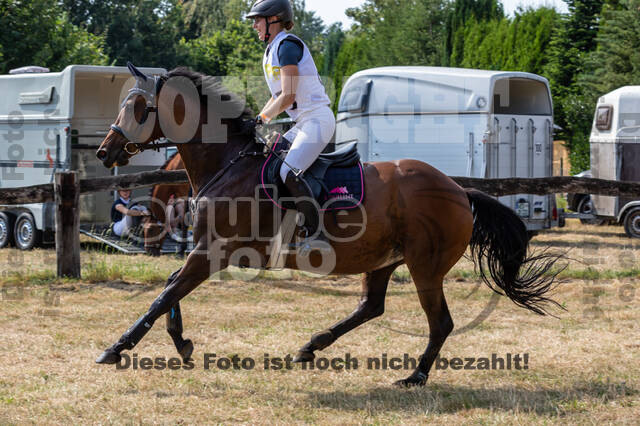 Late-Entry Vielseitigkeit Hamminkeln/Wesel (01.+02.08.2020)