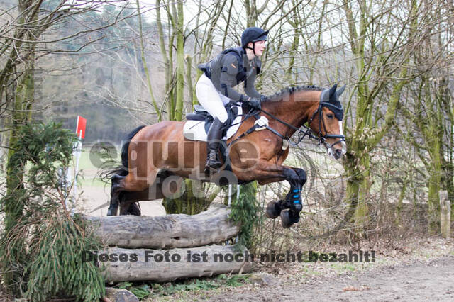Jungpferdetag Hamminkeln