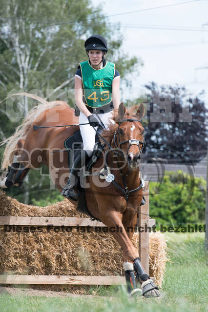Vielseitigkeitsturnier ZRuFV von Lützow Hamminkeln