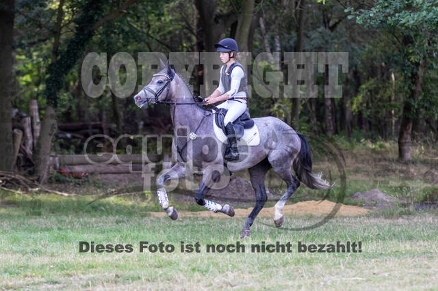 Late-Entry Vielseitigkeit Hamminkeln/Wesel (01.+02.08.2020)