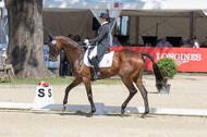 FEI European Championship Eventing 2017