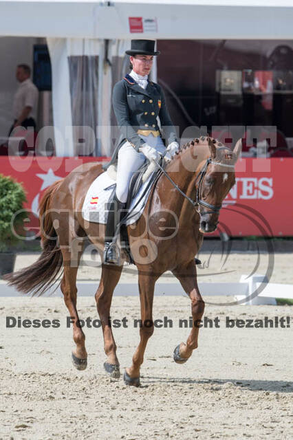 FEI European Championship Eventing 2017