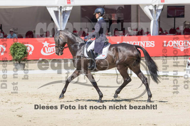 FEI European Championship