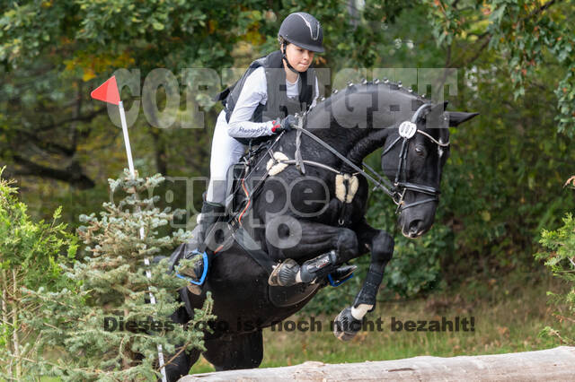 Goldene Schärpe 2020 - Pferde