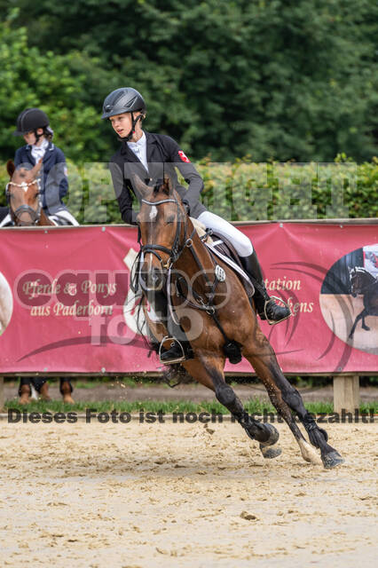 Goldene Schärpe 2021 - Ponys