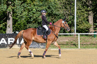 RFV Dinslaken-Hiesfeld (Herbstturnier)