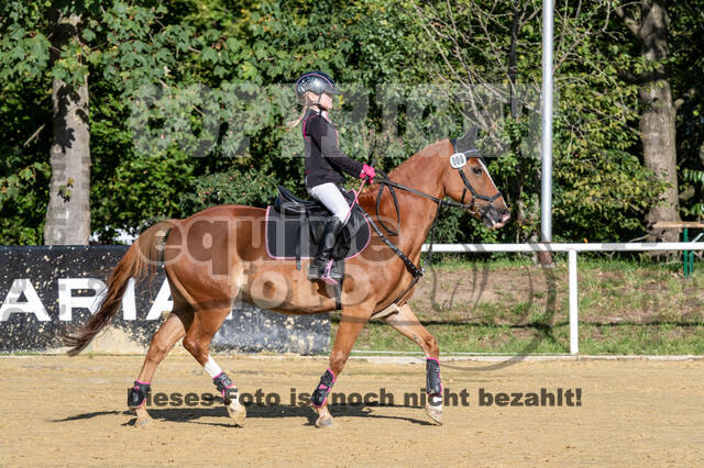 RFV Dinslaken-Hiesfeld (Herbstturnier)