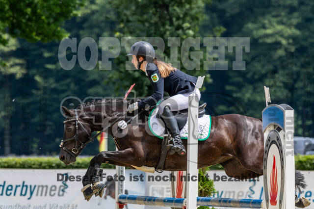 Goldene Schärpe 2021 - Ponys