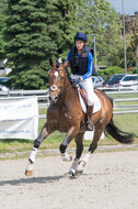 Eventing im Pferdesportzentrum Rheinland