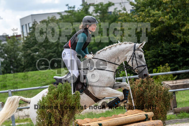 Late-Entry-Vielseitigkeit Langenfeld (06.+07.07.2020)