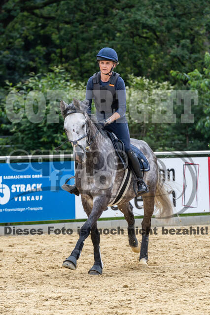 Hunter Geländetraining 10.07.2021 (Sonsbeck)