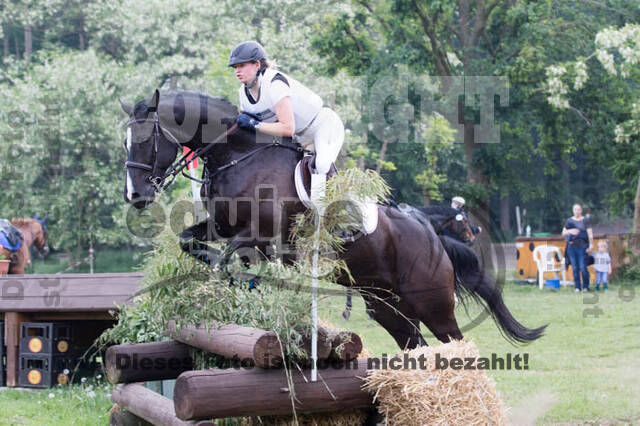 Vielseitigkeitsturnier ZRFV von Lützow Hamminkeln