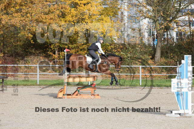 IGV Lehrgang der Sieger der Cups mit Frank Ostholt