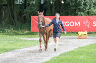 FEI European Championship Eventing 2017