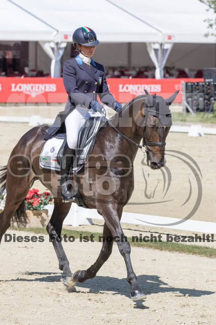 FEI European Championship
