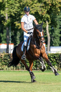 Kronenberg - De Peelbergen (August 2020)