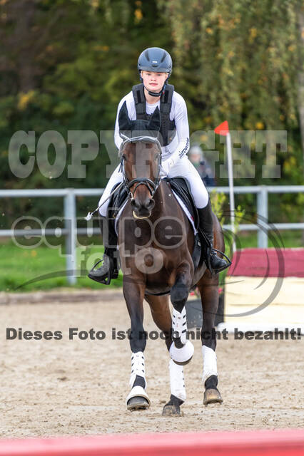 Goldene Schärpe 2020 - Pferde