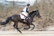 Eventing Langenfeld 2018