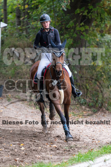 Goldene Schärpe 2020 - Pferde