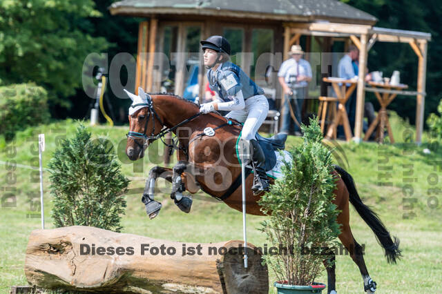 Goldene Schärpe 2021 - Ponys