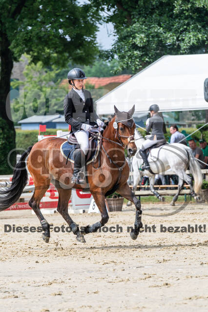 Goldene Schärpe 2021 - Ponys