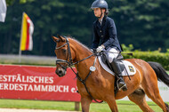 Goldene Schärpe 2021 - Ponys